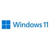 MS Windows 11 Pro FPP 64-bit EN Intl