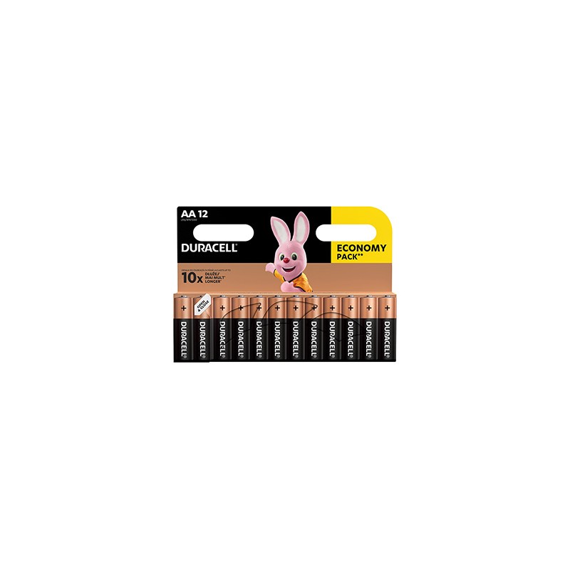 Duracell BASIC Jednorazowa alkaliczna baterie AA, 12-pack