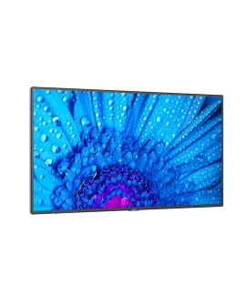 NEC MultiSync M491 Płaski panel Digital Signage 124,5 cm (49") IPS 500 cd/m2 4K Ultra HD Czarny 24/7