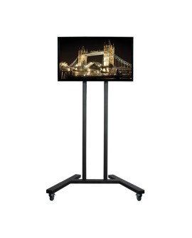 Uchwyt mobilna do monitora B TECH BT8503/B 1MBTM036