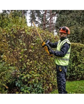 Dewalt Nożyce akumulatorowe DCMHT563N-XJ