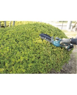 Makita DUM604ZX akumulatorowe nożyce do trawy 16 cm 18 V Litowo-jonowa (Li-Ion) Czarny, Niebieski