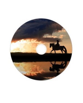 Verbatim 43703 płyta DVD 8,5 GB DVD-R 50 szt.