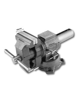 Imadło ślusarskie obrotowe Neo Tools 100mm, 360 stopni