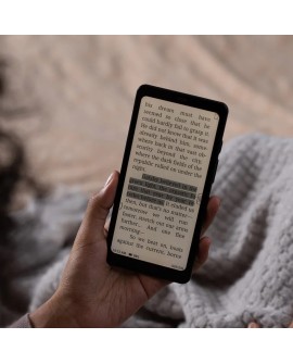 Ebook Onyx Boox Palma 6,13" 128GB Wi-Fi Black