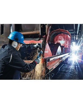 Bosch GWS 19-125 CIE Professional szlifierka kątowa 12,5 cm 11500 RPM 1900 W 2,4 kg