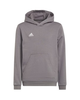 Bluza dla dzieci adidas Entrada 22 Hoody szara H57515 152cm