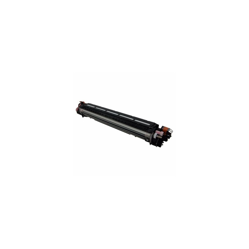 Ricoh oryginalny developer D2423062, D2423066, magenta, 270000s, D2423093