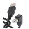 USB kabel (2.0), USB A M - USB B (M), 2m, pod katem 90°, czarny