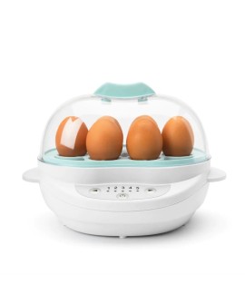 Parowar Nutribullet BSR08N 0 l biały 420 W
