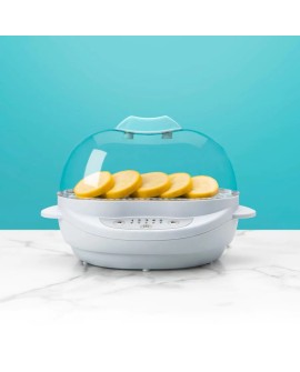 Parowar Nutribullet BSR08N 0 l biały 420 W