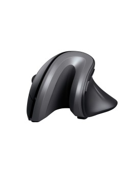 Mysz TRUST Verro Ergonomic Wireless Mouse