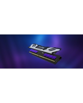 KINGSTON DDR5 48GB 6400MT/s CL32 DIMM FURY Renegade Silver XMP