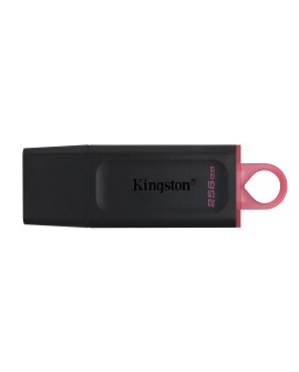 KINGSTON FLASH 256GB USB3.2 Gen1 DataTraveler Exodia (B+P)