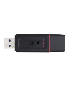 KINGSTON FLASH 256GB USB3.2 Gen1 DataTraveler Exodia (B+P)