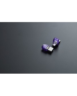 KINGSTON FLASH 256GB USB3.2 DataTraveler microDuo3C