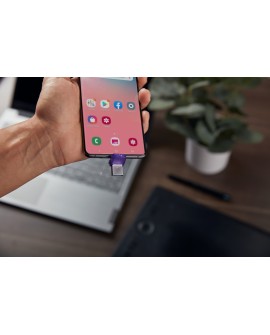 KINGSTON FLASH 128GB USB 3.2 DataTraveler microDuo 3C