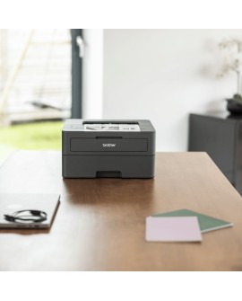 DRUKARKA LASEROWA BROTHER HL-L2402D