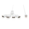 Hub USB DIGITUS DA-70216 (4x USB 2.0 kolor biały)