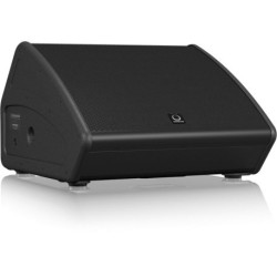 Turbosound TFM-152M Monitor...