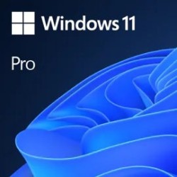 Windows Professional 11...