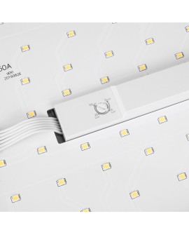 MACLEAN LAMPA LED, NUMER DOMU Z CZUJNIKIEM ZMIERZCHOWYM 950LM 12W IP65 ODPORNA NA PROMIENIOWANIE SŁONECZNE MCE292 W