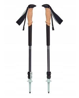 Kije trekkingowe Black Diamond Trail Back harcoal-Foam Green