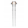 Kije trekkingowe Black Diamond Trail Back harcoal-Foam Green