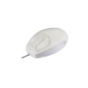 Active Key AK-PMT1 myszka USB Typu-A Optyczny 800 DPI