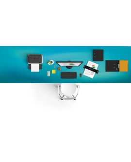 Skaner szczelinowy do dokumentów IRIS Executive 4 458737 (A4 USB Kabel USB)