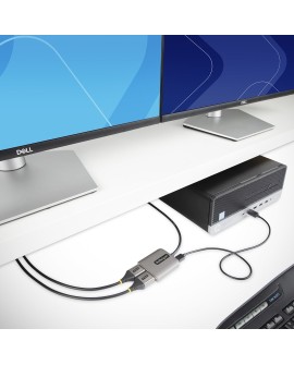 StarTech.com MST14DP122DP adapter kablowy 0,3 m DisplayPort 2 x DVI Szary