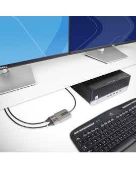 StarTech.com MST14DP122DP adapter kablowy 0,3 m DisplayPort 2 x DVI Szary