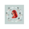 Plecak skitourowy Gregory Targhee 32 - Lava Red (L)