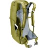 Plecak turystyczny Deuter AC Lite 16 linden-cactus