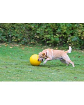 KERBL Piłka interaktywna dla psa, żółta, 30 cm