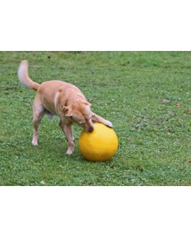 KERBL Piłka interaktywna dla psa, żółta, 30 cm