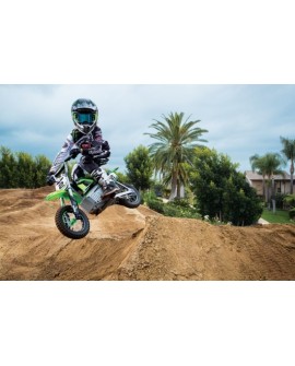 RAZOR Motor elektryczny SX350 Dirt - green