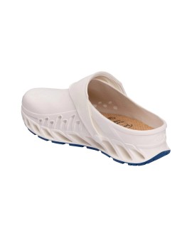 Buty Evoflex marki Scholl