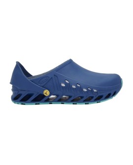 Buty Evoflex marki Scholl