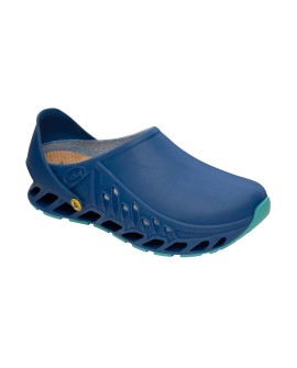 Buty Evoflex marki Scholl