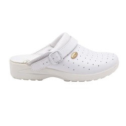 Buty Clog Racy marki Scholl...