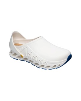 Buty Evoflex marki Scholl