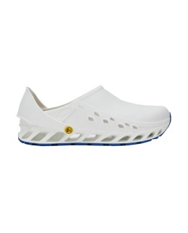 Buty Evoflex marki Scholl