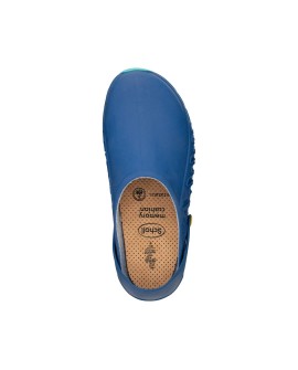 Buty Evoflex marki Scholl