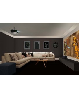Viewsonic X1-4K projektor danych Projektor o standardowym rzucie LED UHD 4K (3840x2160) Kompatybilność 3D Czarny