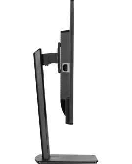 MONITOR IIYAMA LED 31,5”