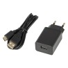 BLOW TABLET PLATINUMTAB10 4G V22