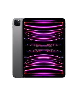 Apple 11-inch iPad Pro (4 gen.) Wi-Fi 2TB Space Grey