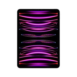 Apple 11-inch iPad Pro (4...