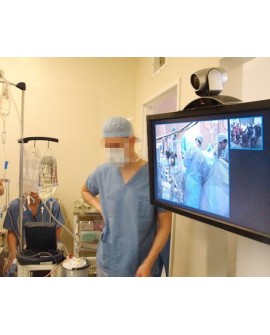 Ergotron INTERACTIVE TV ARM WALLMOUNT/30-55IN 8-18KG MIS-E/F POLISHED
